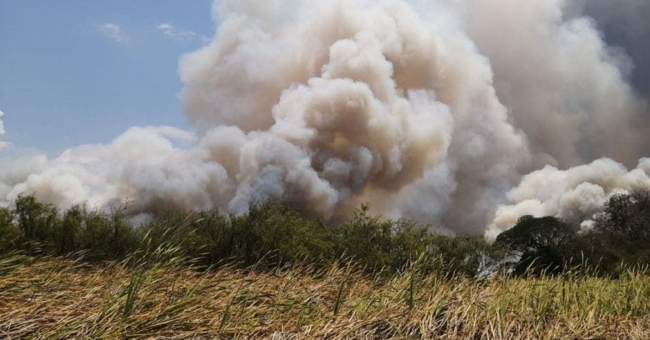 incendio Palo Verde