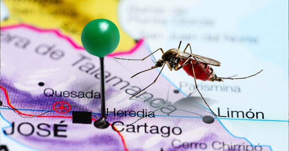 dengue, cuatro tipos, Sarapiquí, Ministerio de Salud