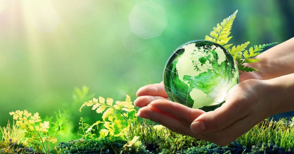 medio ambiente, salud, reciclaje, consumo, planeta