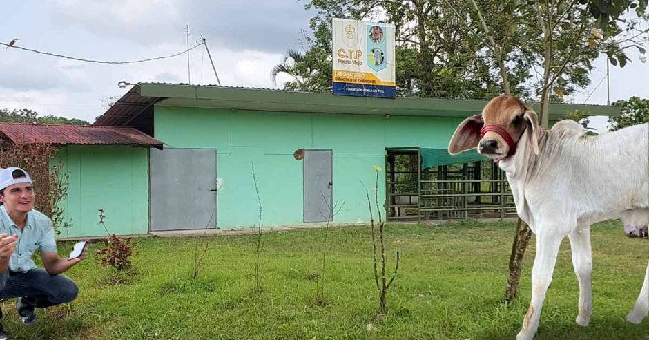 Colegio Técnico Profesional Puerto Viejo, MEP, fertilización in vitro, venta de embriones