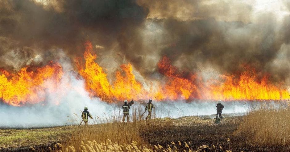 Foto con fines ilustrativos. Cortesía/La República.