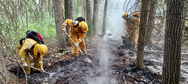 grupo valientes mujeres hombres costarricenses comprometidos naturaleza aceptó desafío unirse pasado 13 junio brigadas más de seis países para junto equipos trabajo canadienses intentar apaciguar uno de los incendios forestales más importantes acontecidos ese país