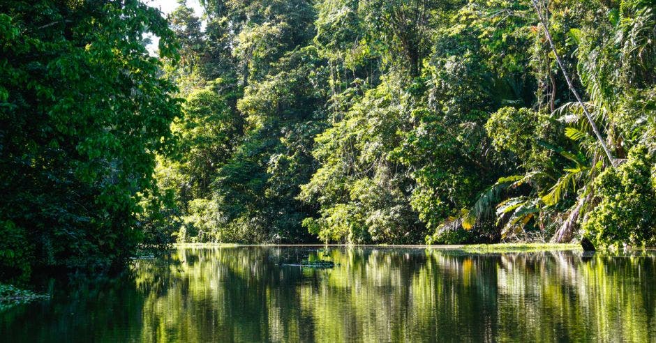 tortuguero