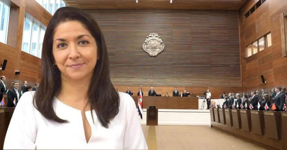 ofreciendo diputados colaboración técnicos especialistas entidad modernizar legislación vigente ministra salud mary munive instó Asamblea Legislativa considerar reformas legales mejoren regulaciones etiquetado nutricional ante dictado actualmente normativa costarricense ese tema