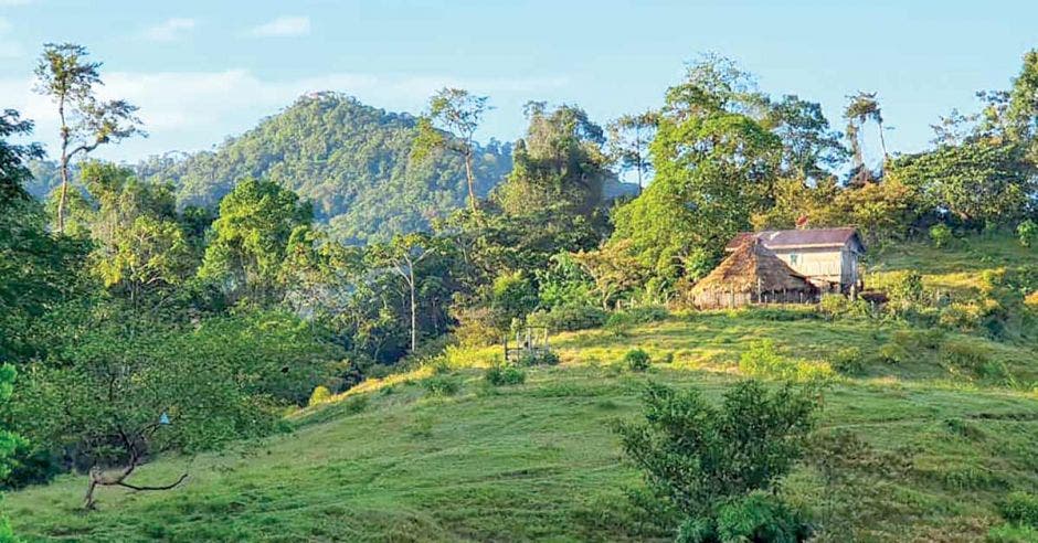 Estos son algunos paisajes que se pueden observar en este mágico trayecto. Facebook El Camino de Costa Rica