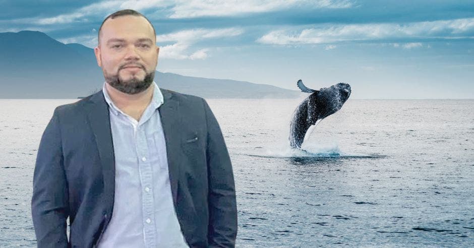 Quepos avistamiento ballenas
