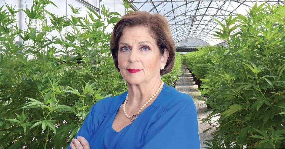 “Con argumentos y una discusión uno a uno con los diputados, hay espacio suficiente para derribar mitos y lograr el apoyo político necesario para legalizar la cannabis”, dijo Pilar Cisneros, jefa de fracción de Progreso Social. Archivo/La República.