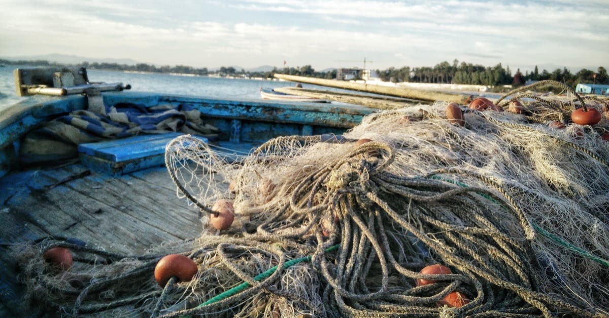 Redes de pesca abandonadas generarán empleos con apoyo del gobierno de  Canadá