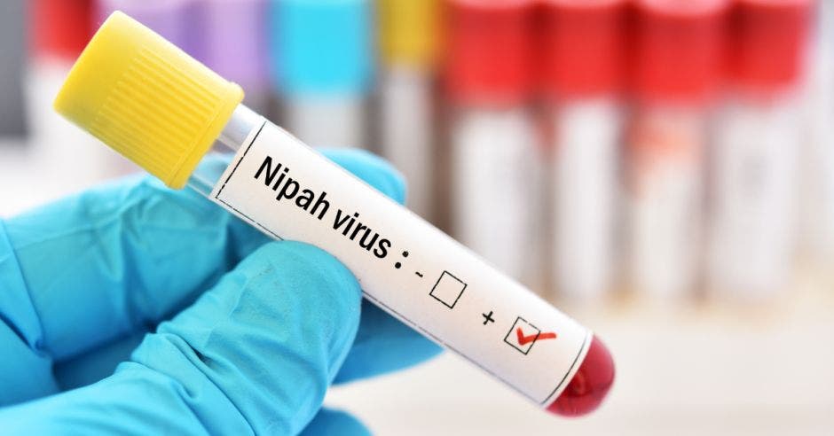 virus letal