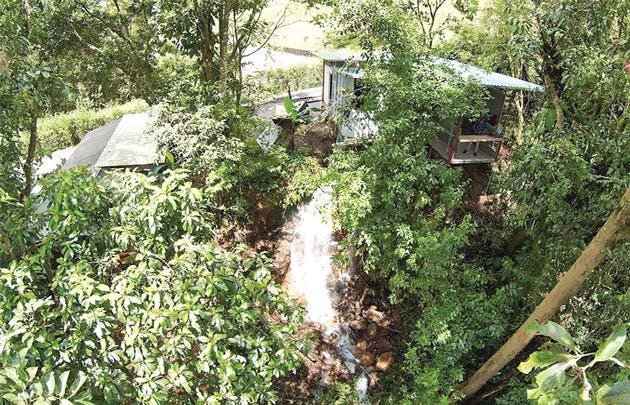 catarata