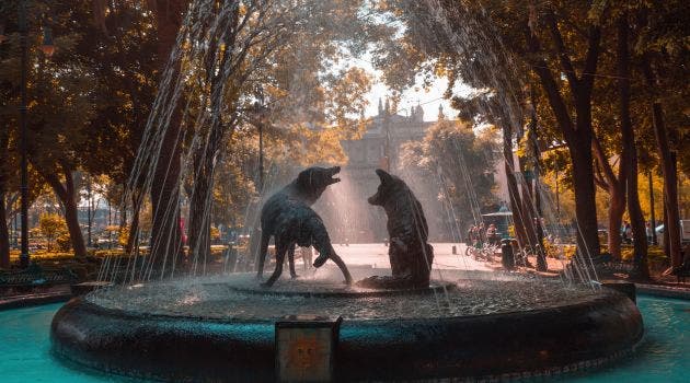 Coyoacan