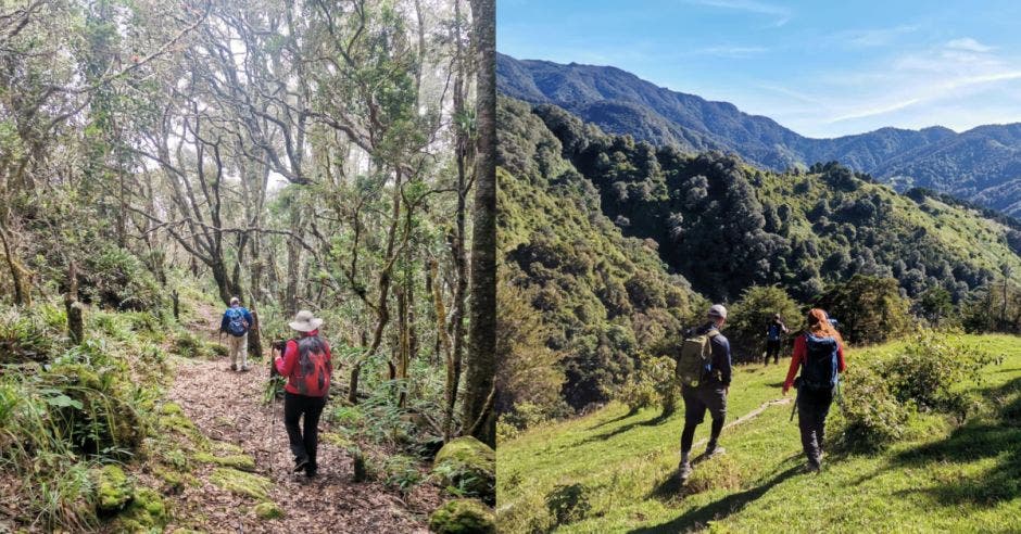 Conozca el Cerro Buenavista y Cerro Paraguas.Canva/La República