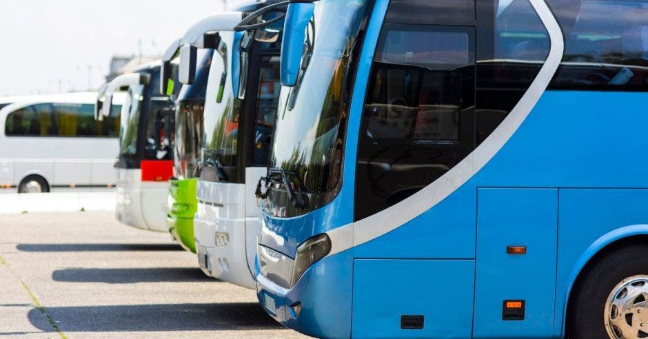 Buses