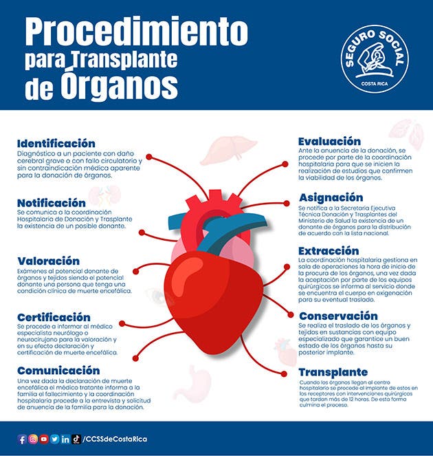 100 personas afecciones hepáticas demandaban órgano nuevo prolongar calidad de vida han pasado quirófanos hospital calderón guargia 2009 dos de ellos beneficiados por donantes vivos