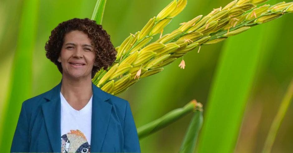 Arroceros