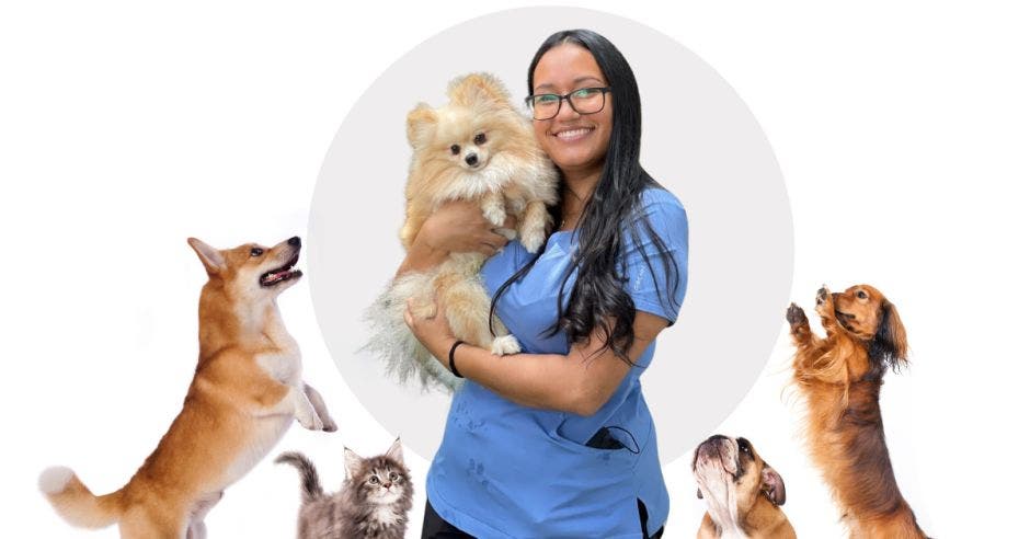 vacunación mascotas suma importancia protección animal propietarios maría josé vega médico cirujano veterinana solera animal center red médica medismart