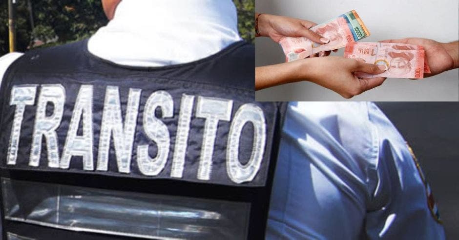Tránsito