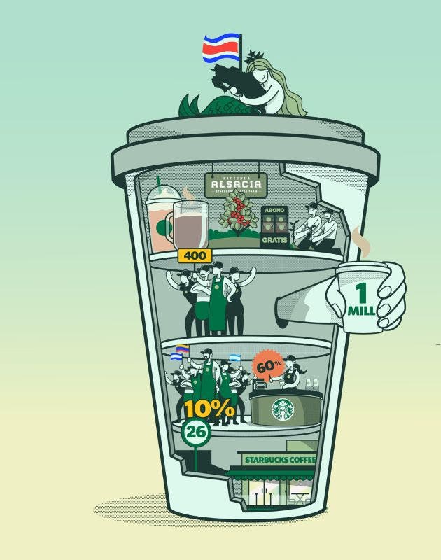 vaso