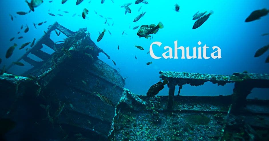 La investigación, titulada “Galeones y otras Embarcaciones”, lleva nueve años recopilando datos que ahora sustentan la tesis definitiva: estos navíos partieron de África rumbo a St. Thomas, entonces colonia danesa en el Caribe, transportando cerca de 800 africanos esclavizados. Cortesía/La República.