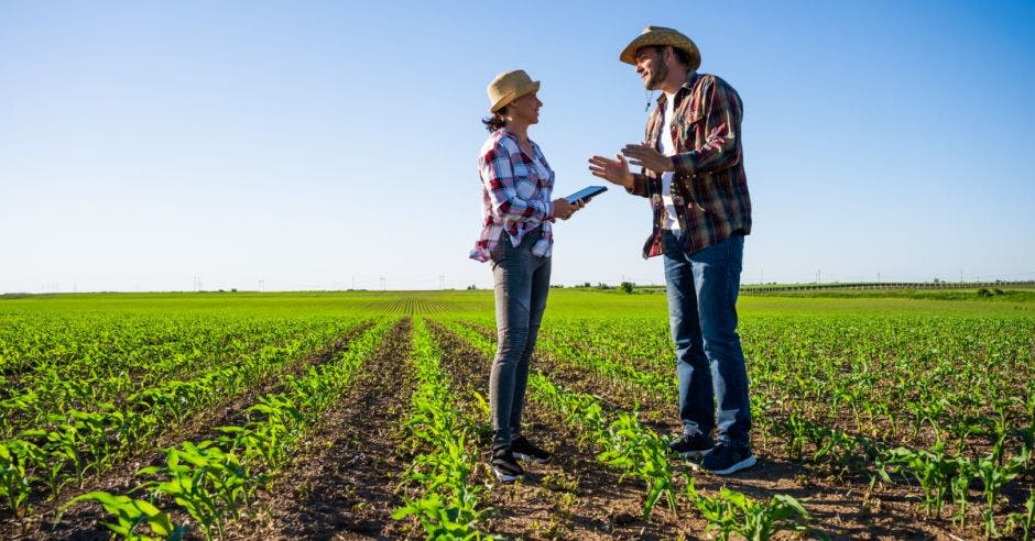agricultura