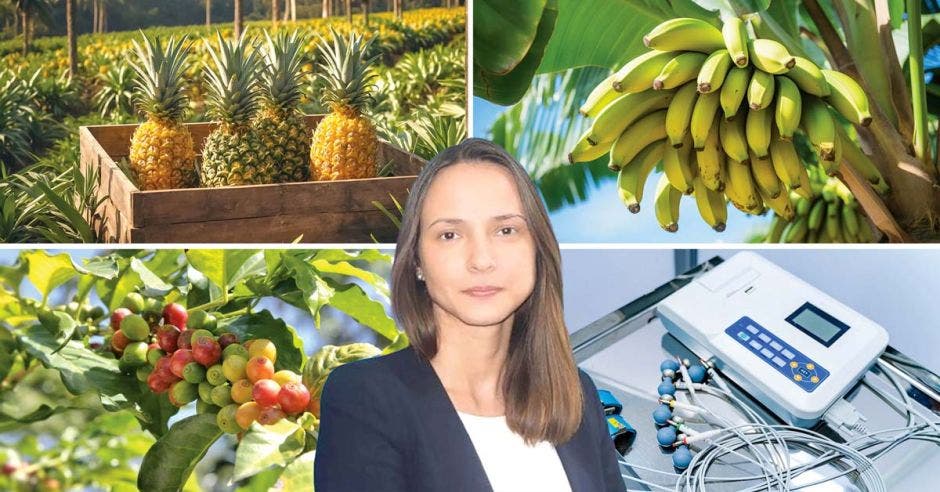 Anelena Sabater, economista y profesora en gestión de riesgos, señala que “es de esperarse que el volumen de exportaciones disminuya” en productos como el café. Cortesía/La República.